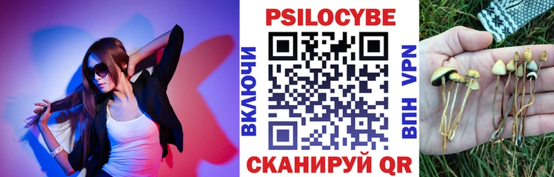 где купить наркоту Белогорск Псилоцибиновые грибы Cubensis
