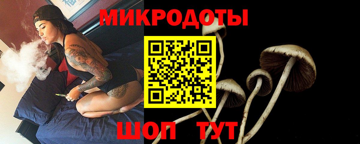 Белогорск  Галлюциногенные грибы Psilocybe  Вход с VPN 